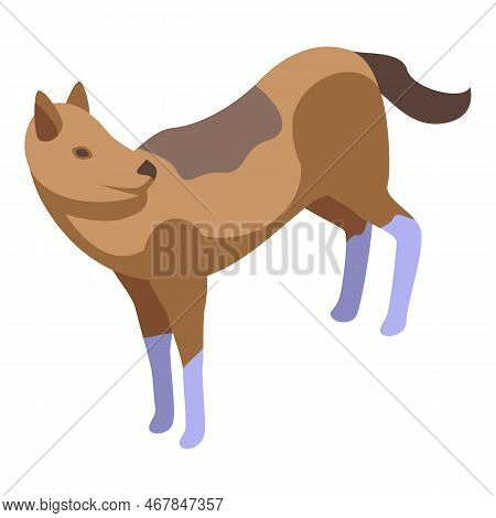 Predator Dog Icon Isometric Vector. Wild Animal. Mammal Wildlife