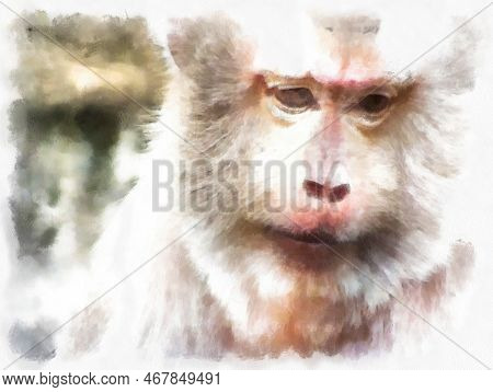 Monkey\'s Face In Various Gestures Watercolor Style Illustration Impressionist Painting.