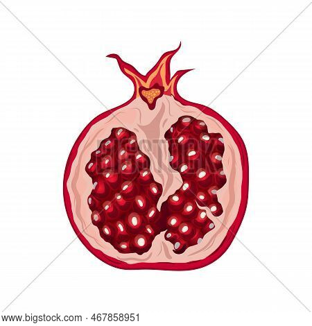 Pomegranate Cut Cartoon. Fruit Red, Half Fresh, Seed Organic, Food Juicy, Piece Ripe, Part Raw, Swee