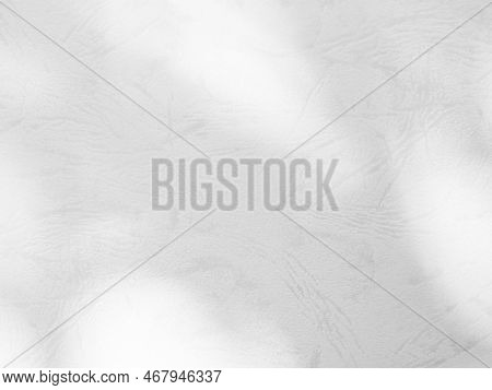 Abtract Overlay Shadow Leaves On Grey Cement Background,texture Surface Design Vintage Styles Backdr