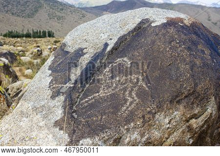 Petroglyphs On The Rocks In Kazakhstan. The Ancient Parking Cave Man. Historical Cave Paintings. Car