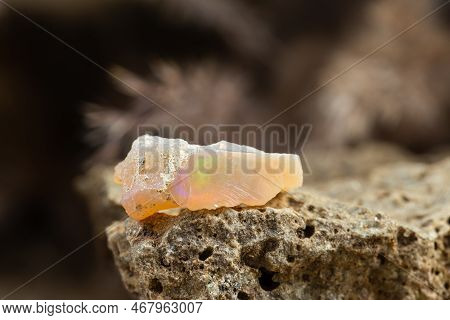 Raw Uncut Piece Of Opal Mineral Stone. Geology Gem Crystal Collection On Natural Background