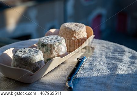 Small French Goat Cheeses, Matured With Grey Mold From Macon, Burgundy, France