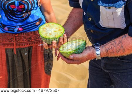 Sandwich Harbor, Namibia - 03 October 2018: African Horned Cucumber, Kiwano. An Annual Vine In The C
