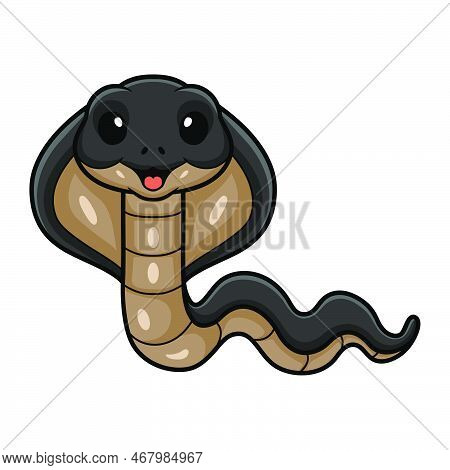 Vector Illustration Of Cute Javan Spitting Cobra Cartoon