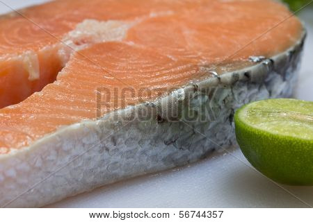 Salmon