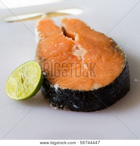 Salmon