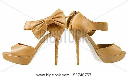 Evening Shoes Color Moccasin On A White Background. Collage