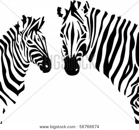 2 zebraer