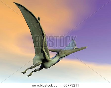 Pteranodon dinosaur flying - 3D render