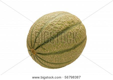 Melon Aroma .