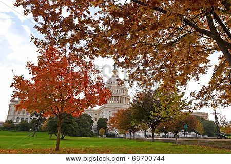 US Capitol building in the Fall.