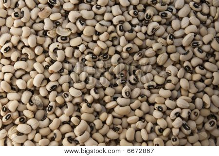Baharat