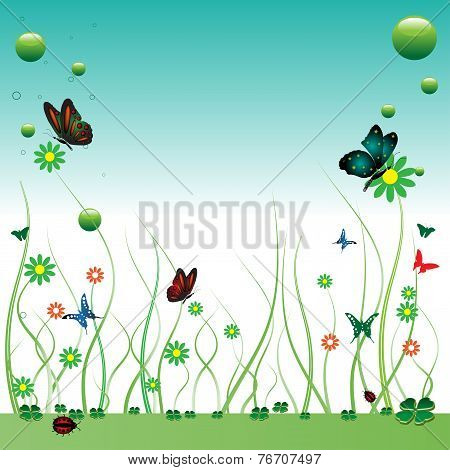Summer field