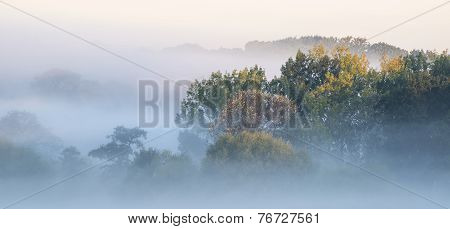 Beautiful Thick Fog Sunrise Autumn Fall Countryside Landscape With Treetops Visible Through Fog