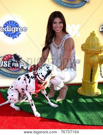 LOS ANGELES - NOV 22:  Roselyn Sanchez at the FOX's 