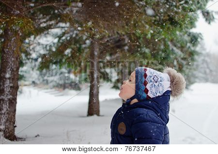 Let It Snow