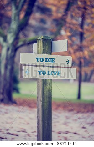 Direction Sign For To Die And To Live Concept
