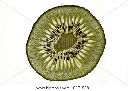 Kiwi Slice