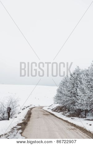 Winter Road