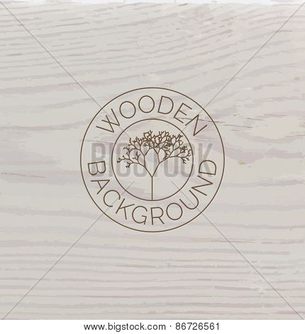 White wood texture background close up