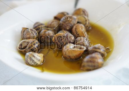 Snails in sauce