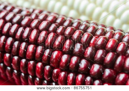 Corn Beans