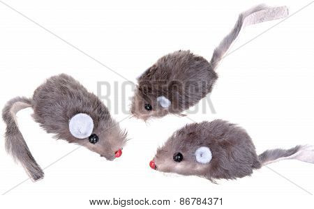 Cat Fishing Toy - Mouse on Rope with Pole  White Background .
