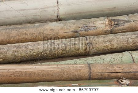 Macro Dry Bamboo
