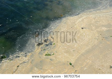 Polluted Water In The Port Of Ploumanac H