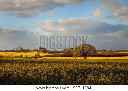 Worcestershire Farmland, England