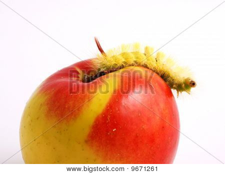 Housenka a Apple