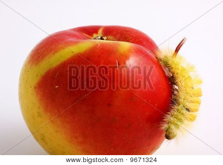 Housenka a Apple