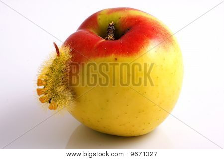 Housenka a Apple