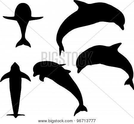 Dolphin Silhouette Isolated