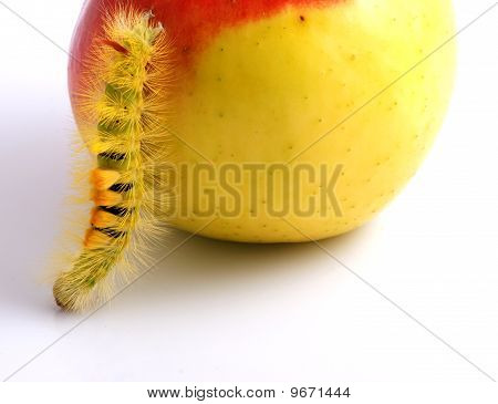 Housenka a Apple