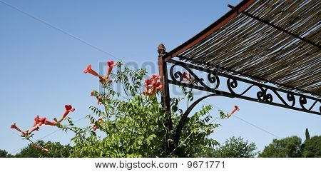 Jardin de Provence ciel bleu France