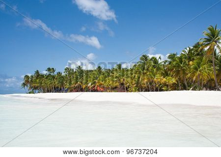 caribe