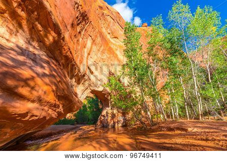 Coyote Natural Bridge