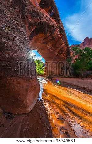 Coyote Natural Bridge