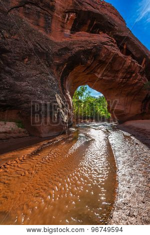 Coyote Natural Bridge