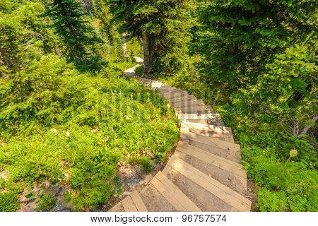 Beautiful Mountain Trail. Staircase. Blackwall Peak Trail at Manning Park in British Columbia. Canada.