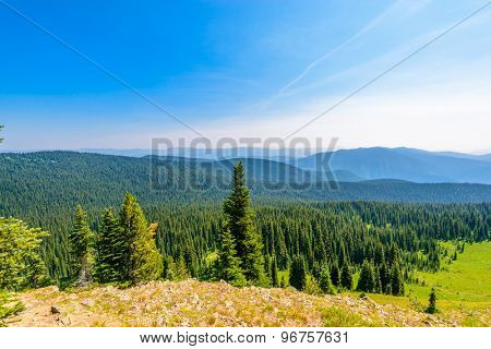 Rocky Mountains. Coastal Mountains. Blackwall Peak trail in Manning Park. British Columbia. Canada.