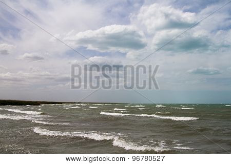 Beach With Reeds