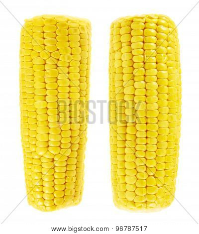 Cornstick corn on the cob isolated