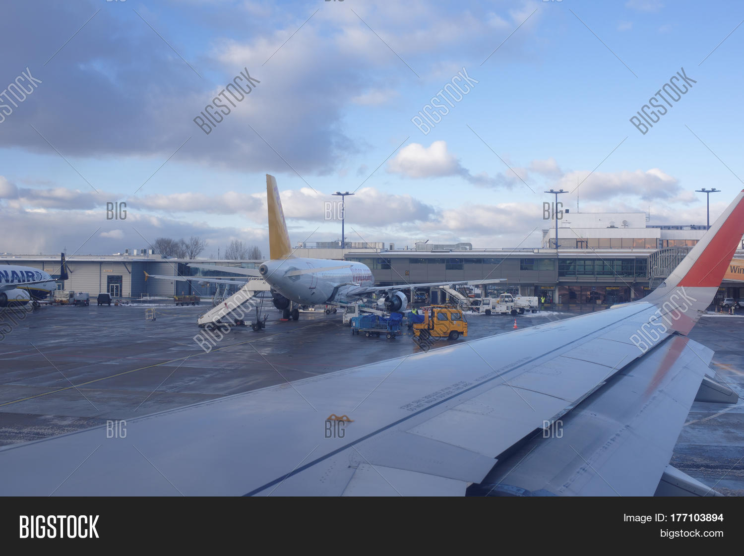 Image Preview