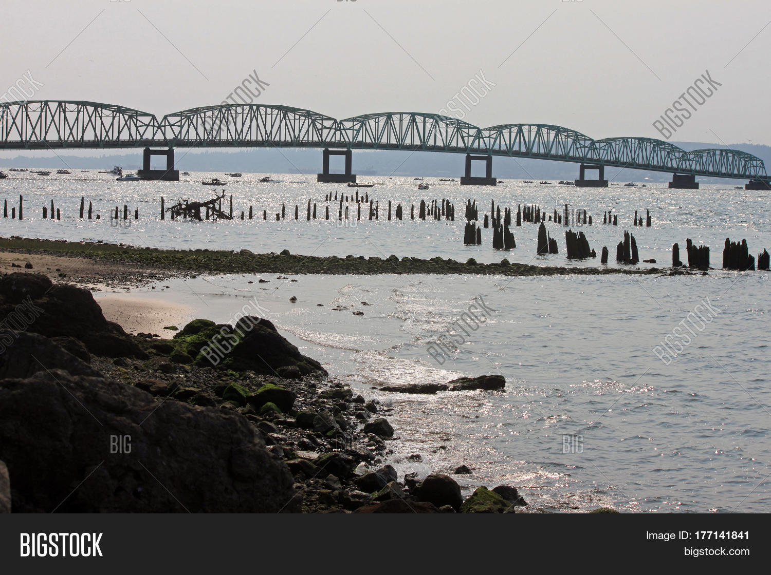 Image Preview