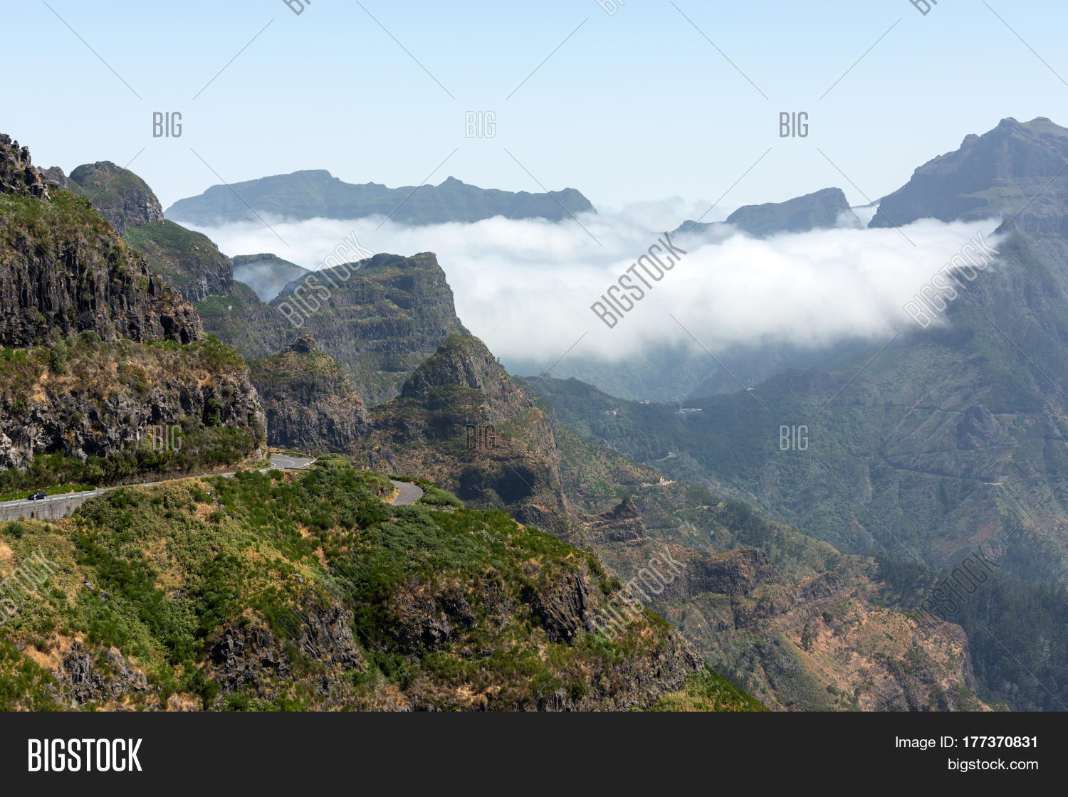 Image Preview