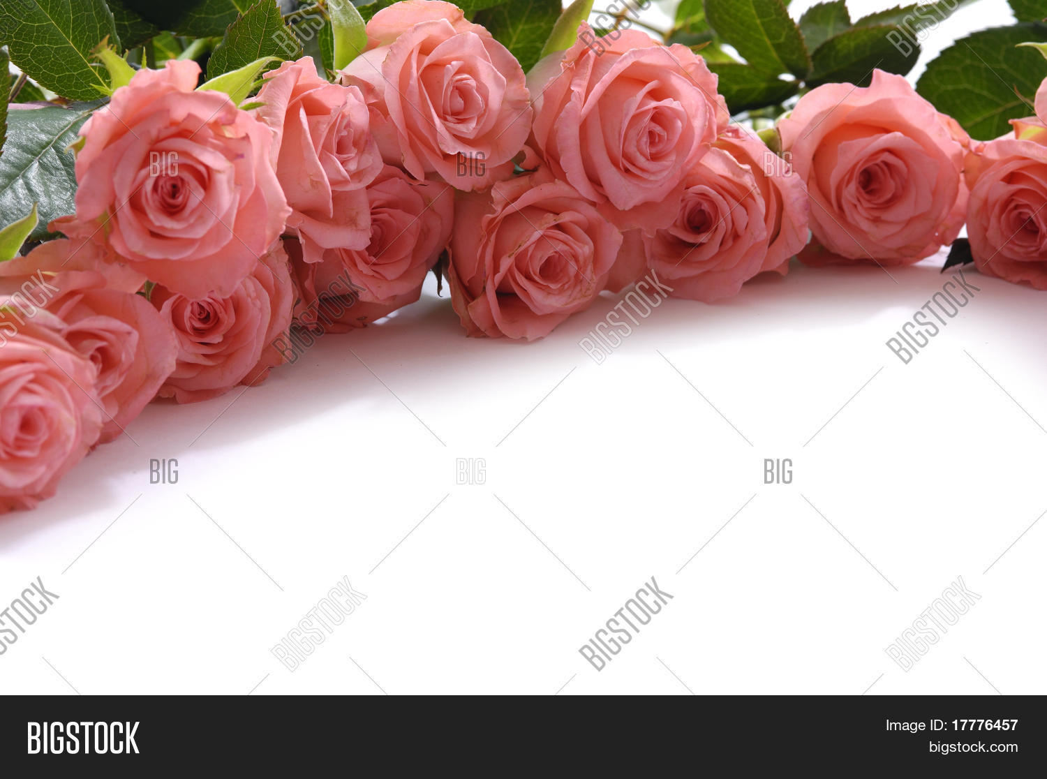 floral corner border image photo free trial bigstock