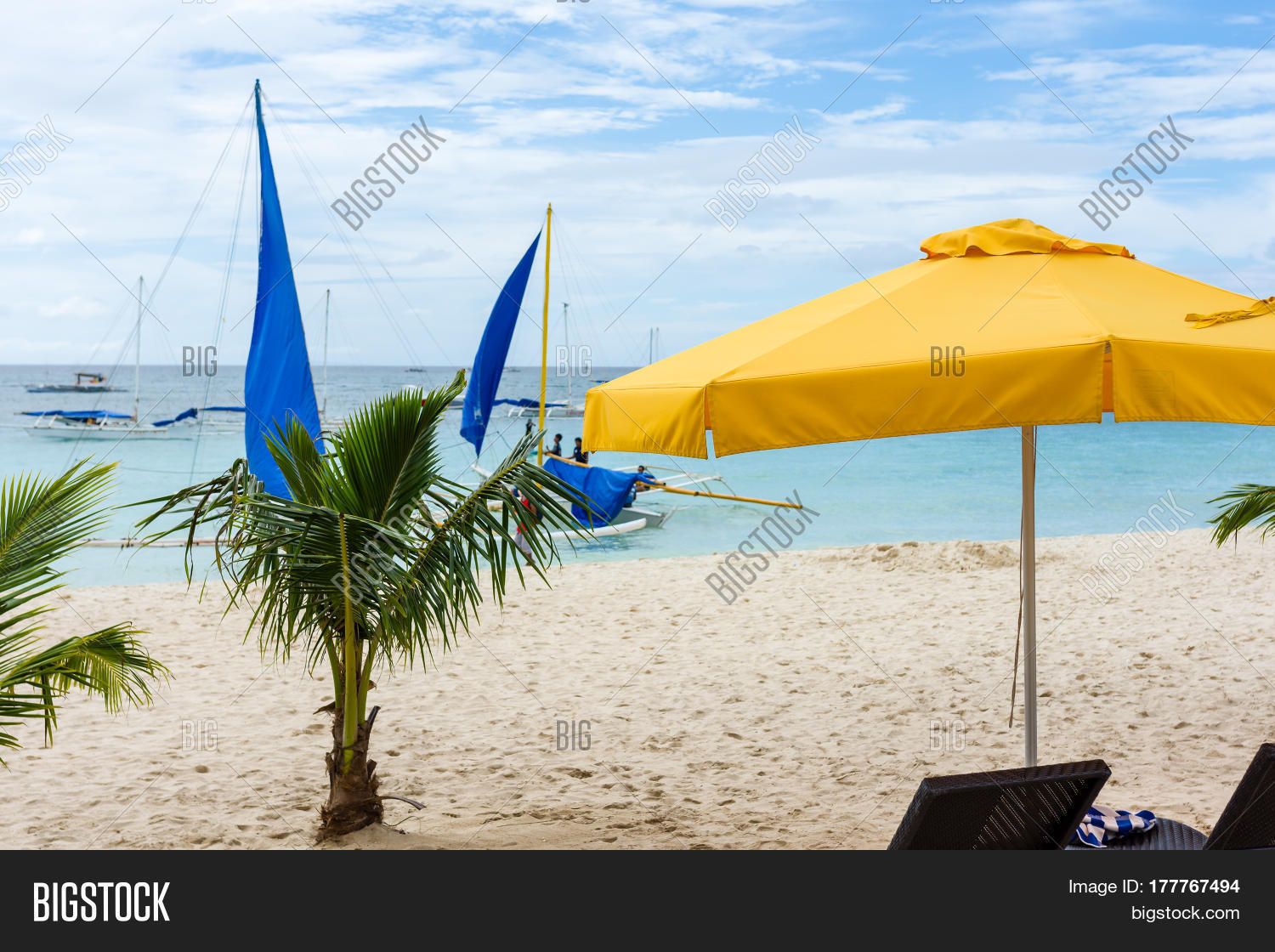 Image Preview